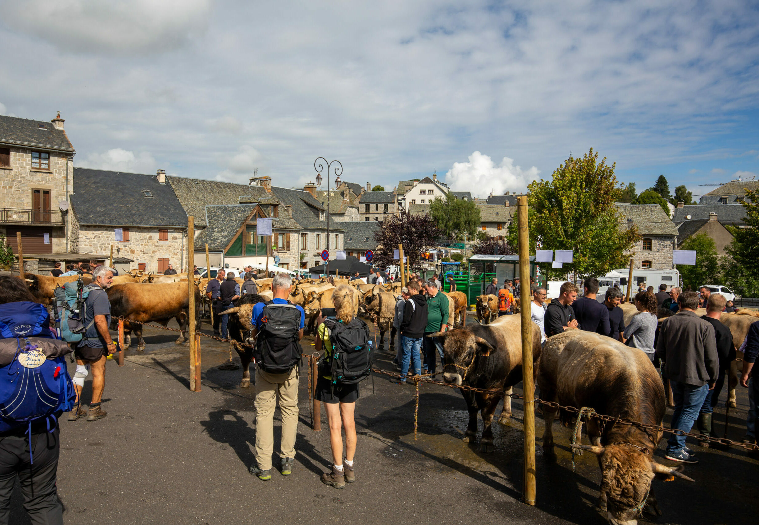 Fête de l'Aubrac à Nasbinals sur l'Aubrac Lozérien