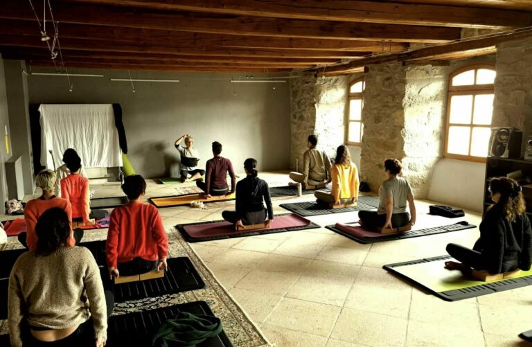 Séance de yoga au Festival de bien être Slow'Brac