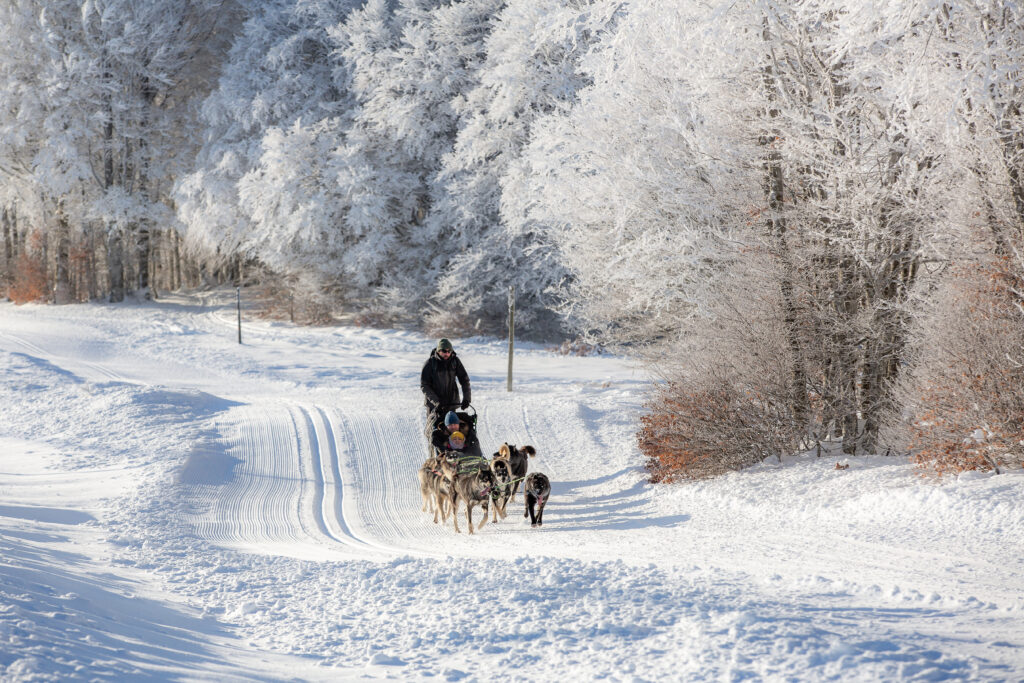 activités hivernales