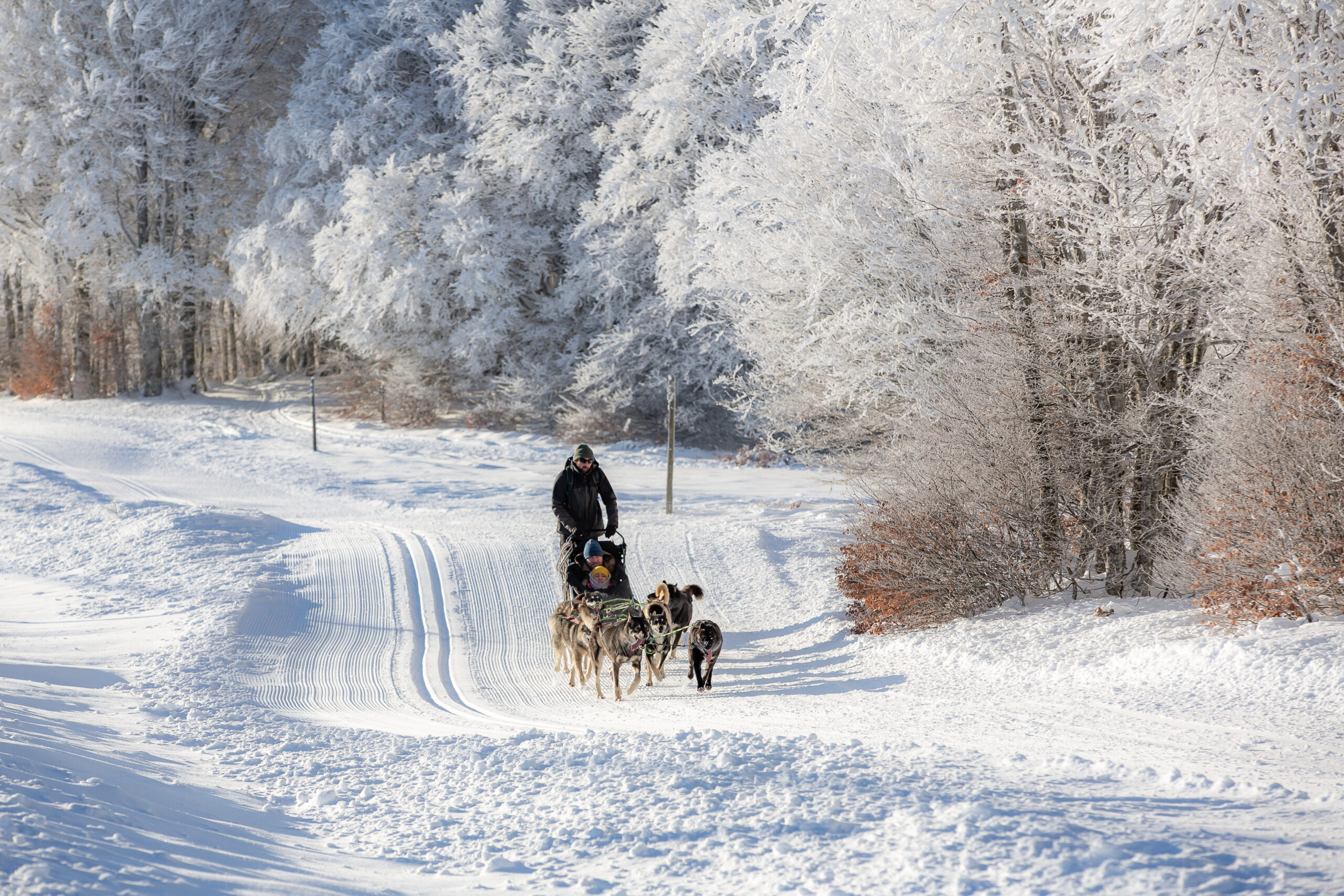 activités hivernales