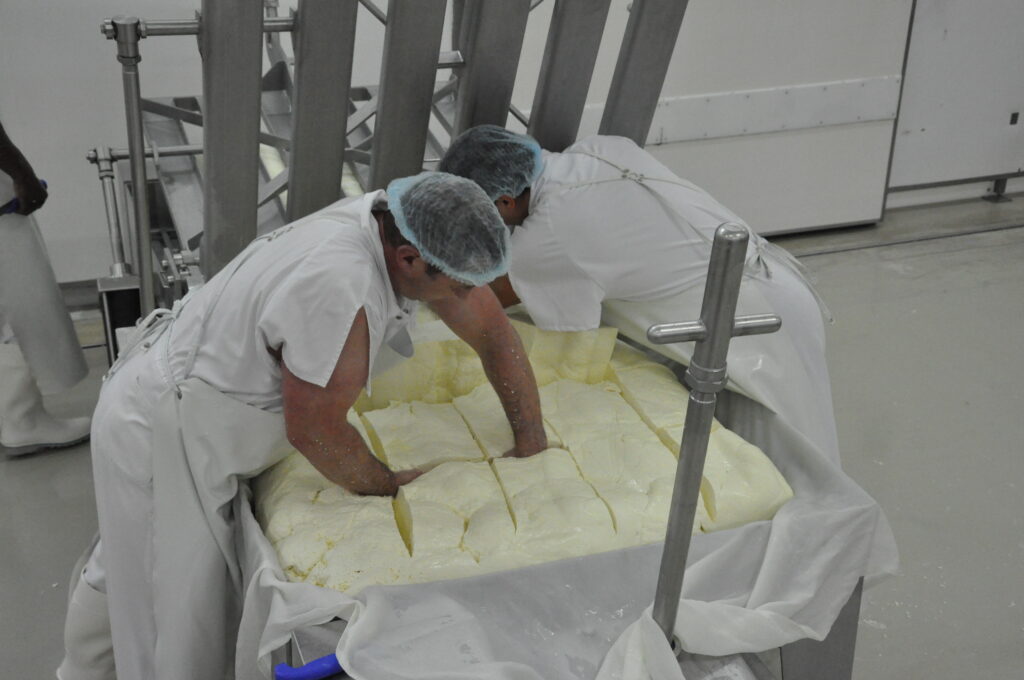 Fromagerie Jeune Montagne