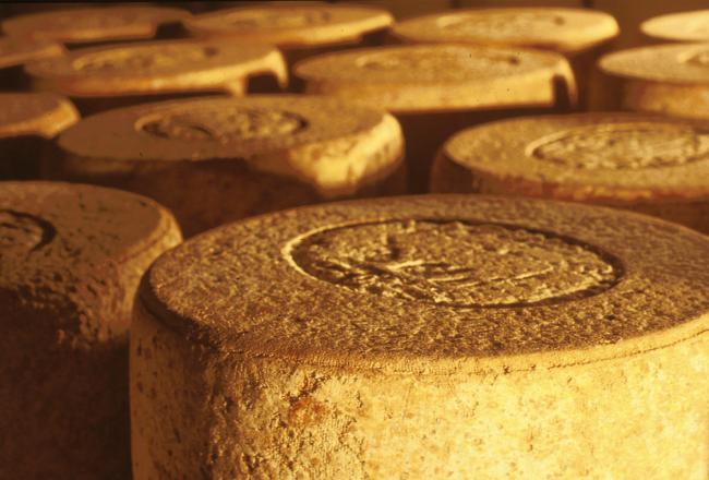 Fromagerie Jeune Montagne