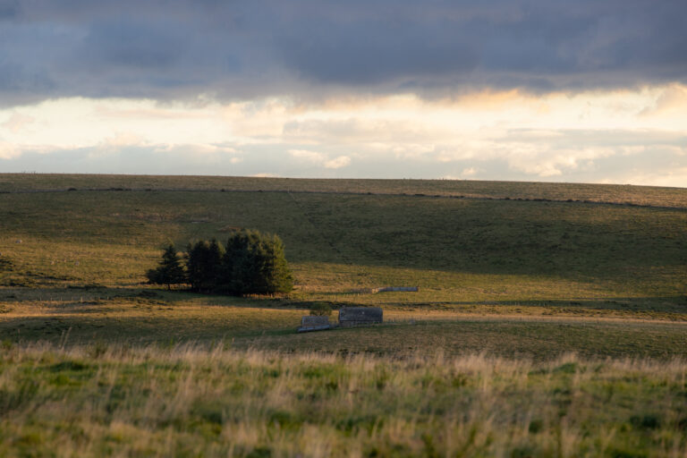 Paysage autour de Laguiole