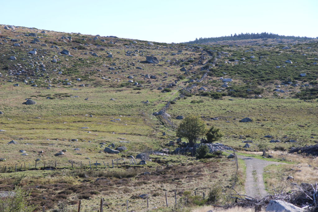 Tour des Monts d'Aubrac - ST LAURENT BONNECOMBE