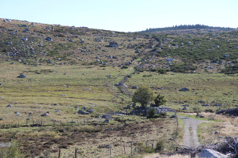 Tour des Monts d'Aubrac - ST LAURENT BONNECOMBE