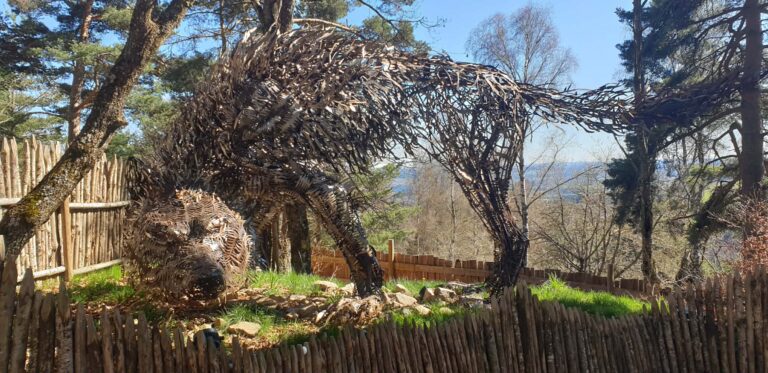 Photo du parc des Loups du Gévaudan